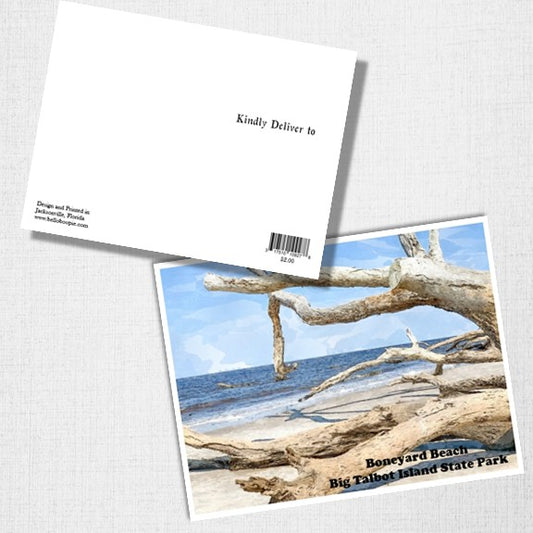 Boneyard Beach Postcard