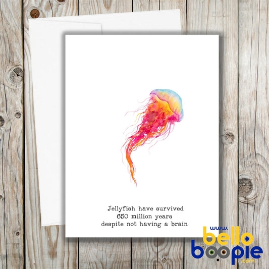 Jellyfish Wholesale