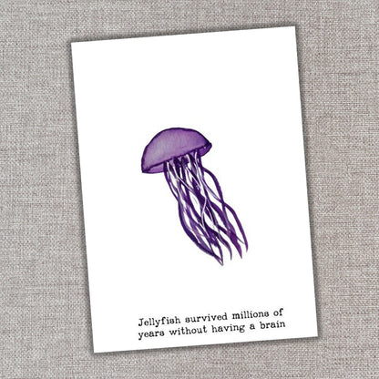 Jellyfish
