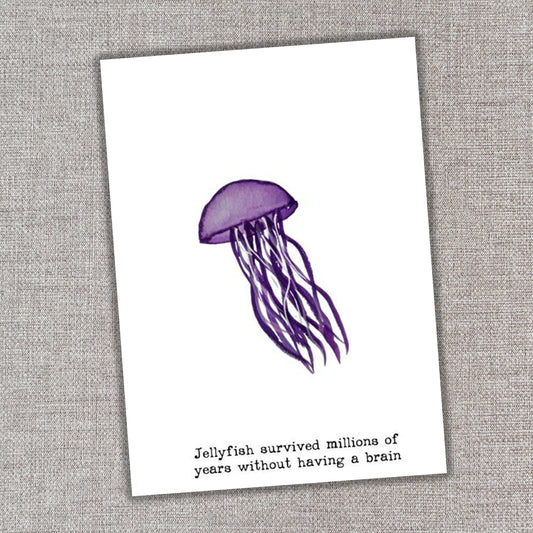 Jellyfish