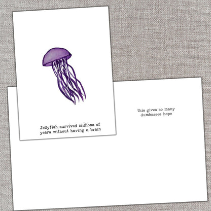 Jellyfish