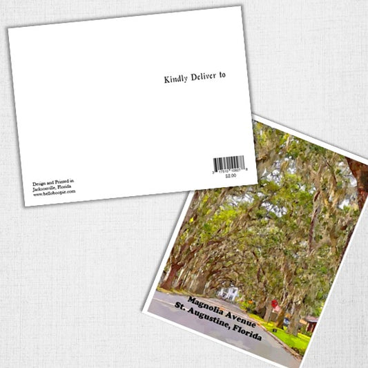 Magnolia Avenue, St. Augustine Postcard