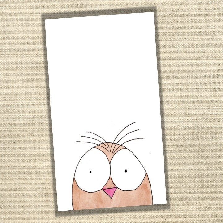 Owl