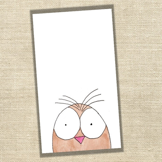Owl
