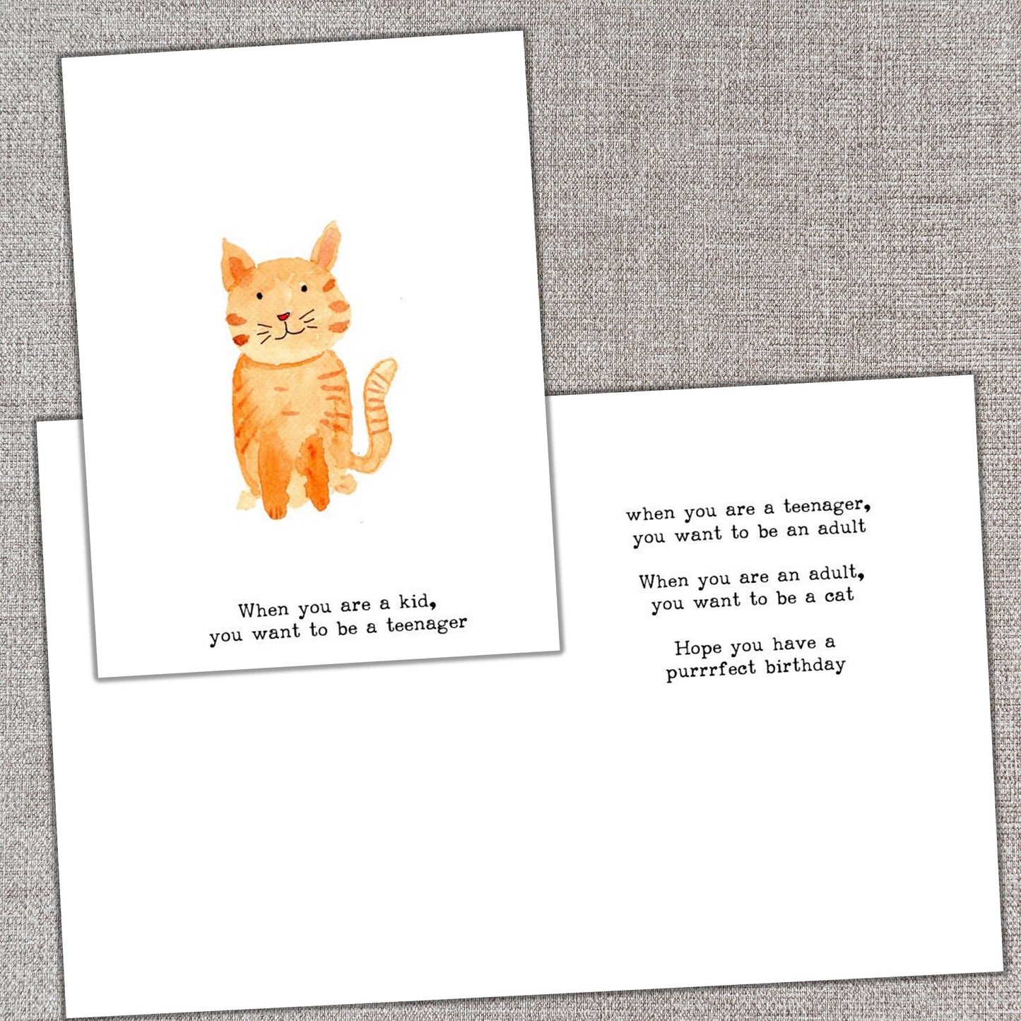 Purrfect Birthday